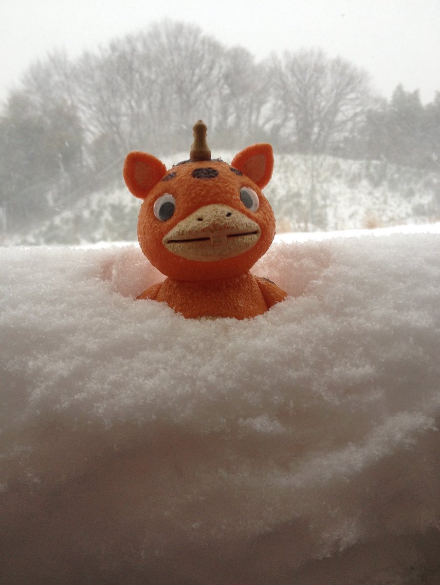 chaichai78's tweet photo. 恒例のブースカ
#暑すぎるので雪の画像で涼もう見た人もやる https://t.co/dCT3tToR9p