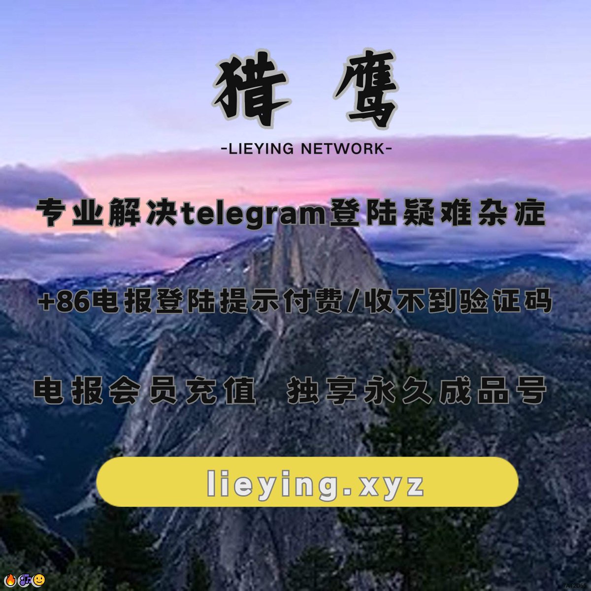 FNehemiah19355's tweet photo. 纸飞机收不到验证码
X账号
电报解除敏感 telegram号
纸飞机收不到验证码 电报官网 https://t.co/MXHEgQhMDW