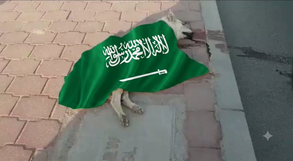 llskeet's tweet photo. انباء عن سقوط قتلى في #السعوديه https://t.co/6ARspATsRq