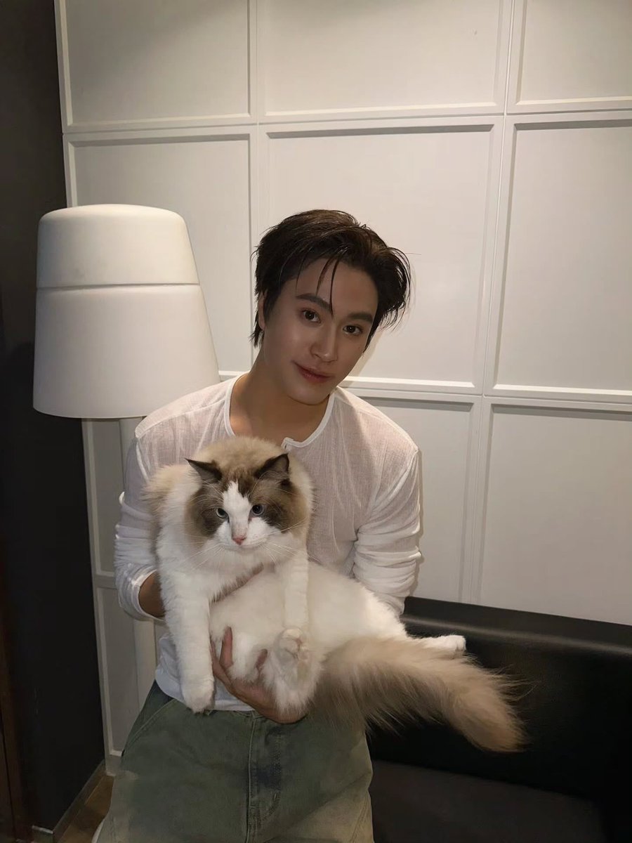 GeminiHome_TH's tweet photo. สุขสันต์วันเกิดท่านลอร์ดจุ๊มุ 🐱🎂💖🐈

สุขสันต์วันเกิดครบ 3 ขวบของท่านลอร์ดจุ๊มุหลานรักของอุ้นย่า อุ้นยาย 🫶😽 ขอให้สุขภาพแข็งแรง กินอิ่ม นอนอุ่น เล่นสนุกทุกวัน เป็นที่รักของแด๊ดเจมีไนน์กับทุกคนตลอดไป 🐾

#ท่านลอร์ดจุ๊มุของแด๊ดเจมีไนน์ #LordJumu
#Gemini_NT #เจมีไนน์ @gemini_ti https://t.co/vmRzboZcTU