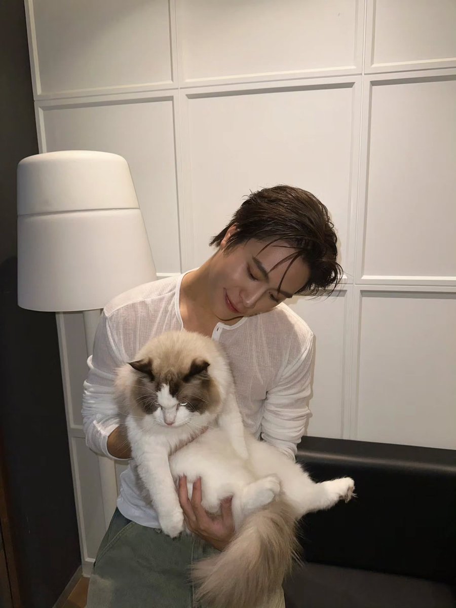 GeminiHome_TH's tweet photo. สุขสันต์วันเกิดท่านลอร์ดจุ๊มุ 🐱🎂💖🐈

สุขสันต์วันเกิดครบ 3 ขวบของท่านลอร์ดจุ๊มุหลานรักของอุ้นย่า อุ้นยาย 🫶😽 ขอให้สุขภาพแข็งแรง กินอิ่ม นอนอุ่น เล่นสนุกทุกวัน เป็นที่รักของแด๊ดเจมีไนน์กับทุกคนตลอดไป 🐾

#ท่านลอร์ดจุ๊มุของแด๊ดเจมีไนน์ #LordJumu
#Gemini_NT #เจมีไนน์ @gemini_ti https://t.co/vmRzboZcTU