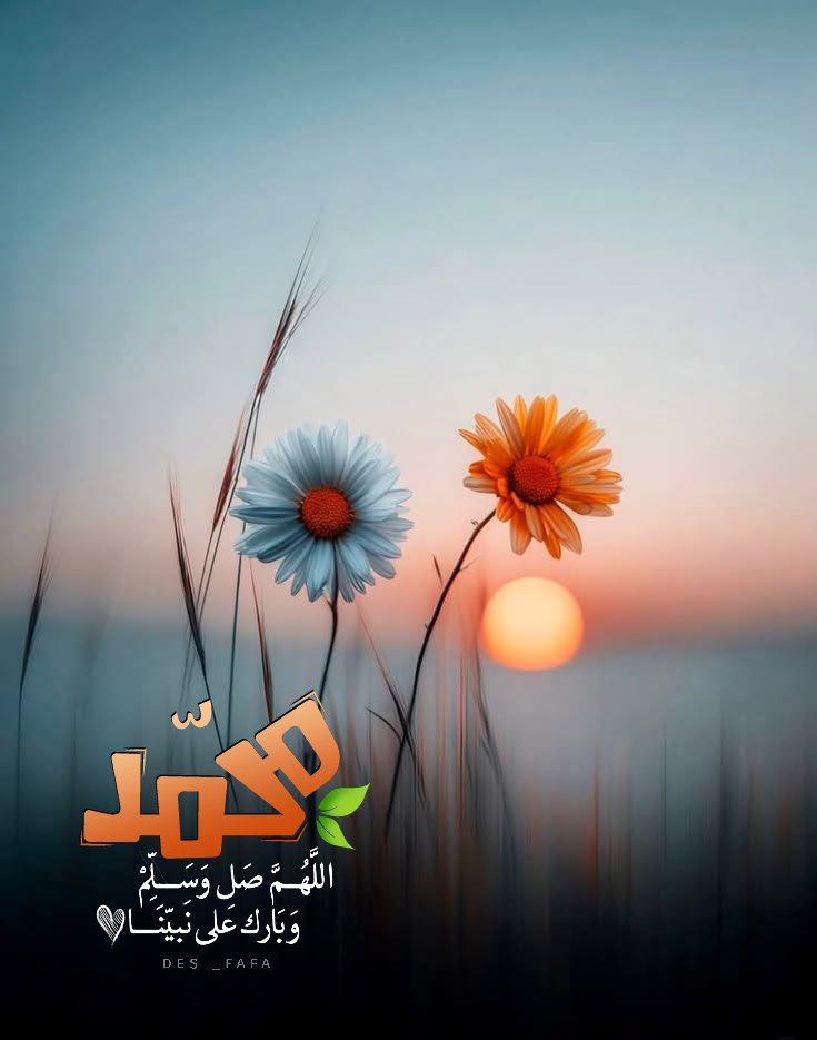 des_fafa's tweet photo. https://t.co/wbydpBmhgI