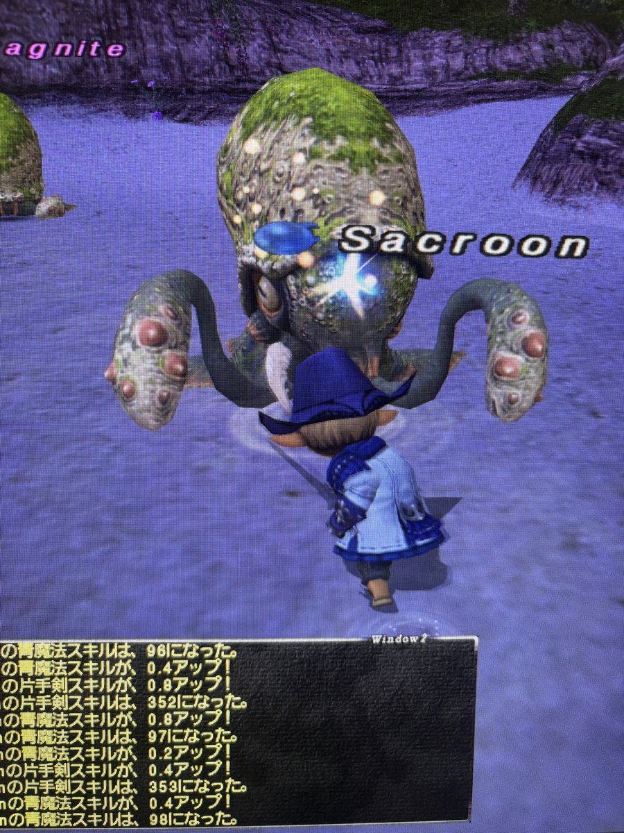 Sacrata's tweet photo. これが噂のウラグナイト道場…‼️スキル0〜w  #FF11 https://t.co/EWJdNgpQj3