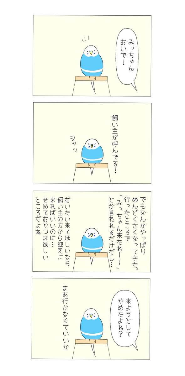 kupirinko's tweet photo. ５回に1回くらいは来てくれる
#インコのいる生活 https://t.co/vo8yRXGOZi