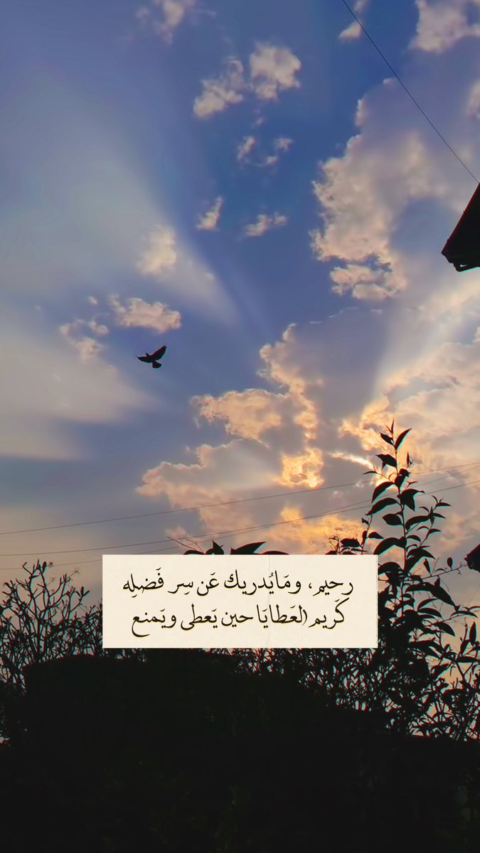M_Nonl's tweet photo. https://t.co/kIKr2w9mhK