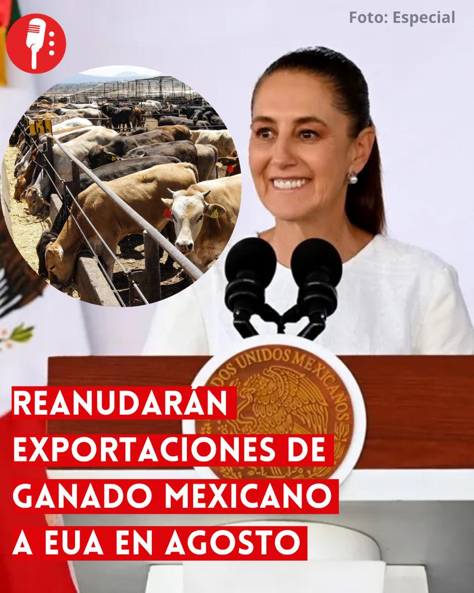 ReporterosMX_'s tweet photo. ⭕ OJO | REANUDARÁN EXPORTACIONES DE GANADO MEXICANO A ESTADOS UNIDOS EN AGOSTO

Claudia Sheinbaum (@Claudiashein) confirmó que Estados Unidos reabrirá su frontera al ganado mexicano a partir de las últimas semanas de agosto, tras meses de restricciones por la plaga del gusano barrenador, una medida que representa un alivio para los productores pecuarios del norte del país.
https://t.co/WZZHIXXjW0