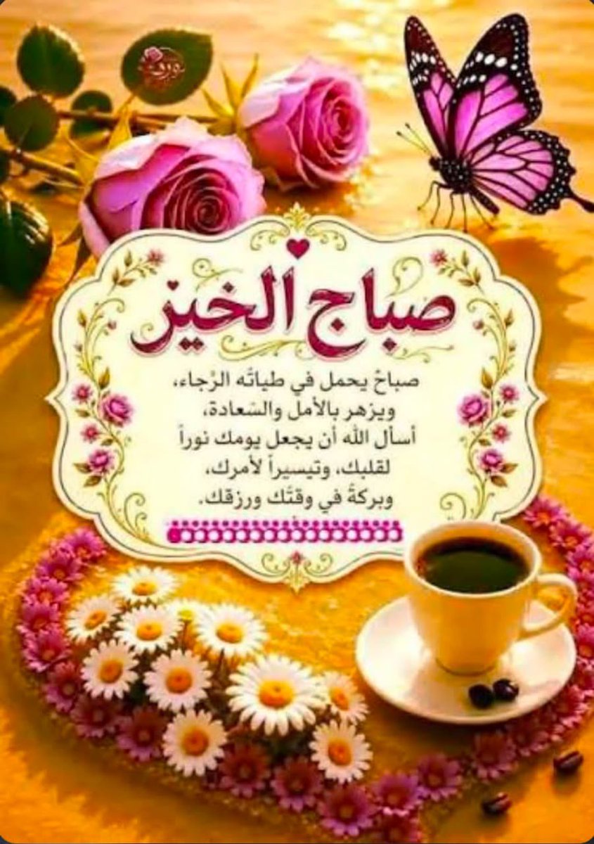 talaathedia's tweet photo. @shadhyt64695 https://t.co/ruGd0wiIOD