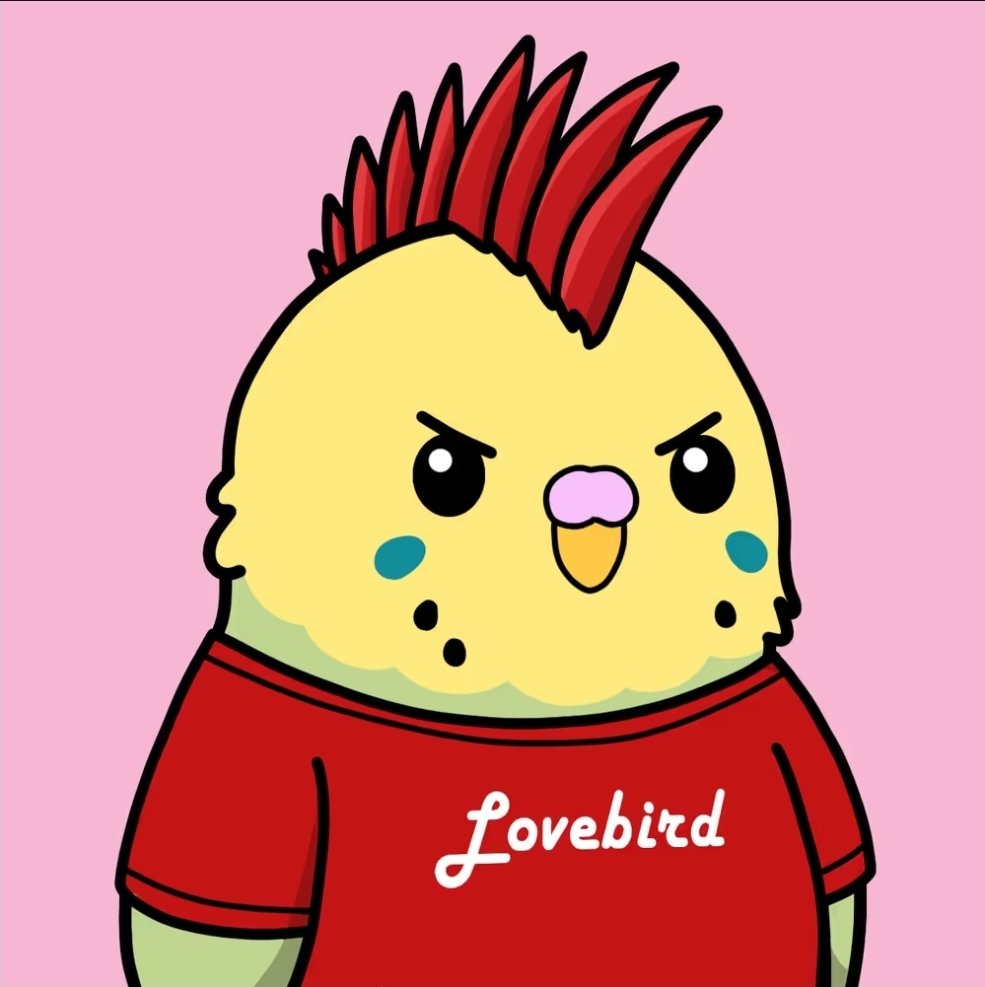 notjessix's tweet photo. If @birbsrh has a million fans, then I am one of them. If @birbsrh has ten fans, then I am one of them. If @birbsrh has only one fan then that is me. If @birbsrh has no fans, then that means I am no longer on earth. If the world is against @birbsrh , then I am against the world. https://t.co/4PF992aCBR