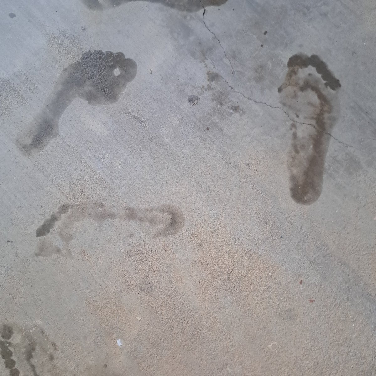 twoheadedrose's tweet photo. Wet footprints 👣 https://t.co/nRulWAN52Q