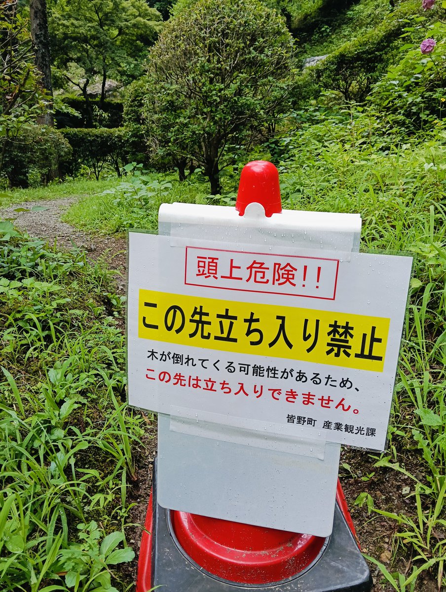 TakiChaya's tweet photo. ご来店ありがとうございます(*^^*)
秩父華厳の滝は晴れ、気温31℃、水量多め
倒木の為、滝壺へは通行止め🚧
🍀土日祝日11～18時までの営業
🌟ソフトジェラート28種🍦
🍦コンポタ🆕
期間限定ドリンク🧋🍋
自家製麹甘酒、秩父願い石巡礼
皆様のお越しを、お待ちしております🍀
🥤水分補給をお忘れなく🥒 https://t.co/JyMAD0OZzo