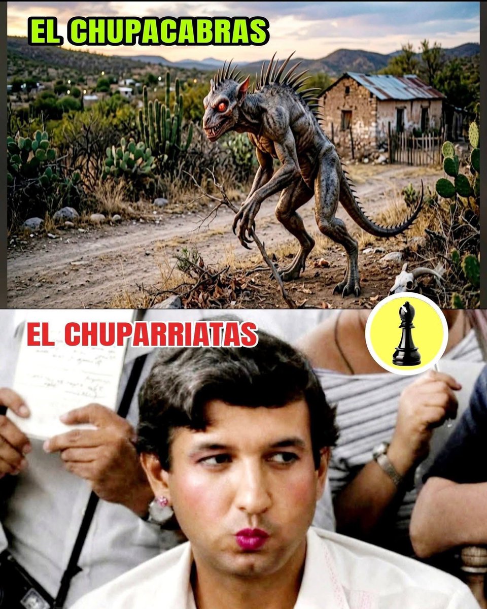 VigiaCiudadano7's tweet photo. La perra de Monsiváis https://t.co/Mnuwb2NAl9
