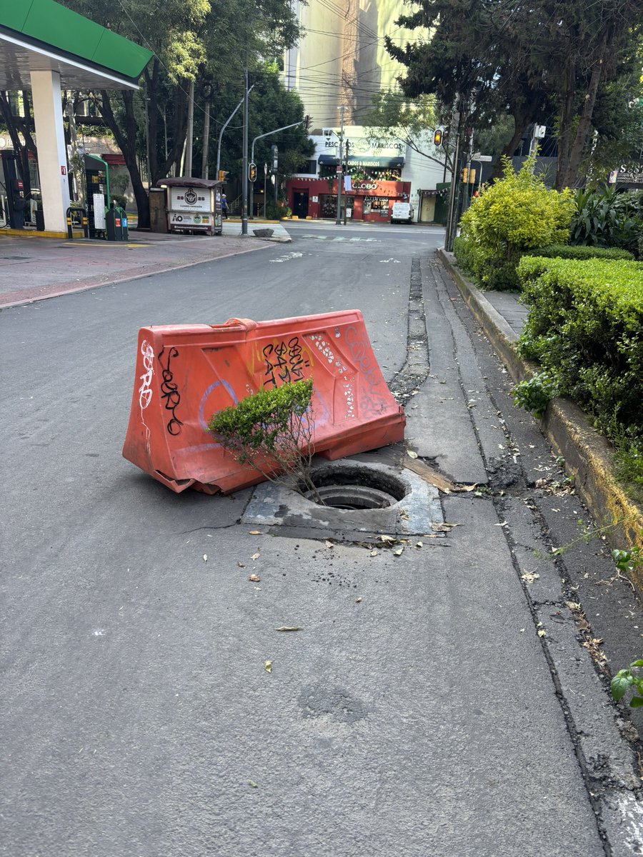 gfabianmedina's tweet photo. 🛑 Yo creo  que el satélite 📡 de @LopezCasarinJ , que todo lo ve y resuelve, NO lo ha detectado o, se quedó sin internet 🛜. Esta es la verdadera realidad de @AlcaldiaAO , que está convertida en un muladar 👇 https://t.co/yMczmvlGRt