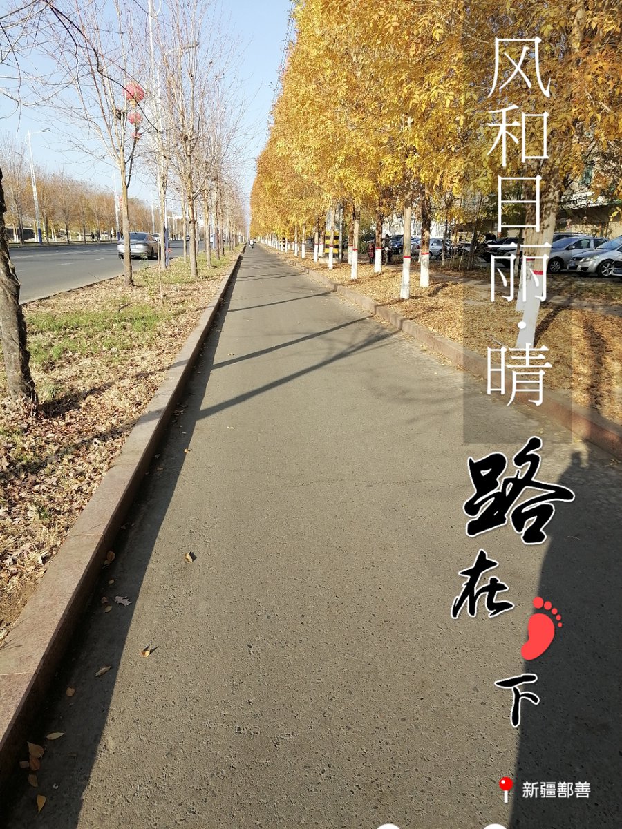 AngieSoxvvb's tweet photo. A crisp autumn breeze and golden leaves falling—perfect weather for a cozy walk with a warm latte! ， https://t.co/rdvP6cJEhX