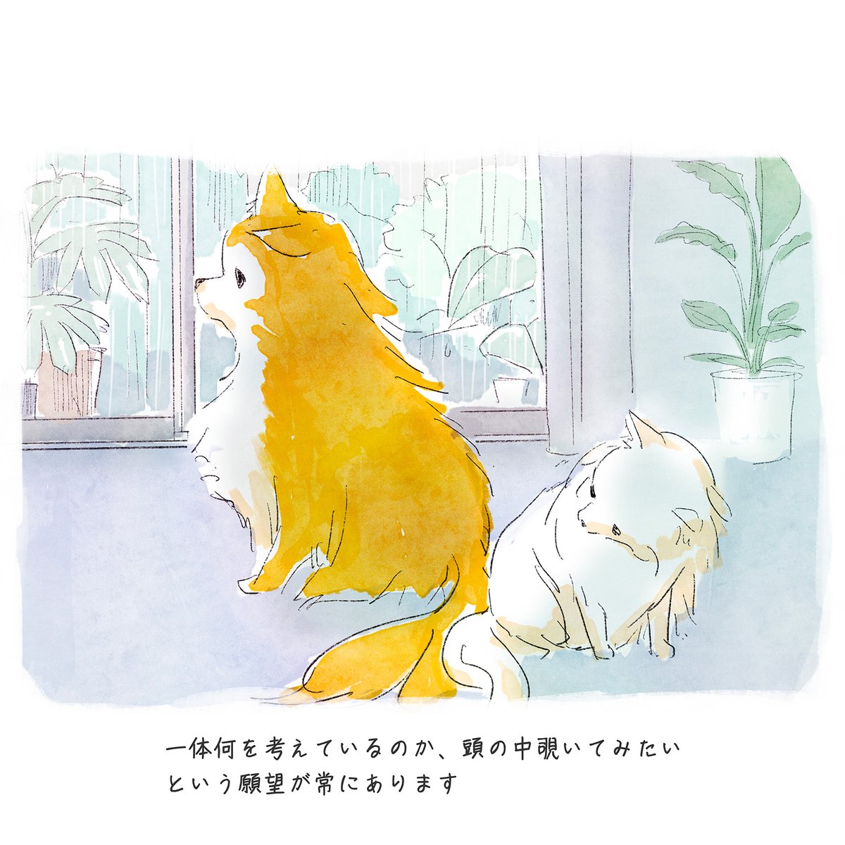 DogfamLife's tweet photo. 一体何を考えているのか、頭の中覗いてみたいという願望が常にあります。

#dogfam #こめ #むぎ https://t.co/EuJSTlKqwM