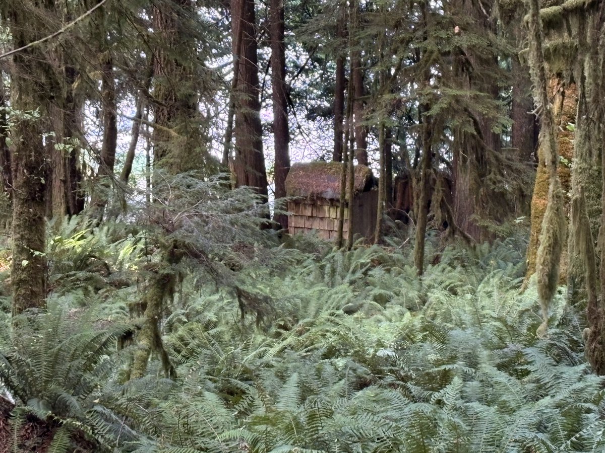 blodgrevinnen's tweet photo. I LOVE NATURE https://t.co/Da7rIgKwS3