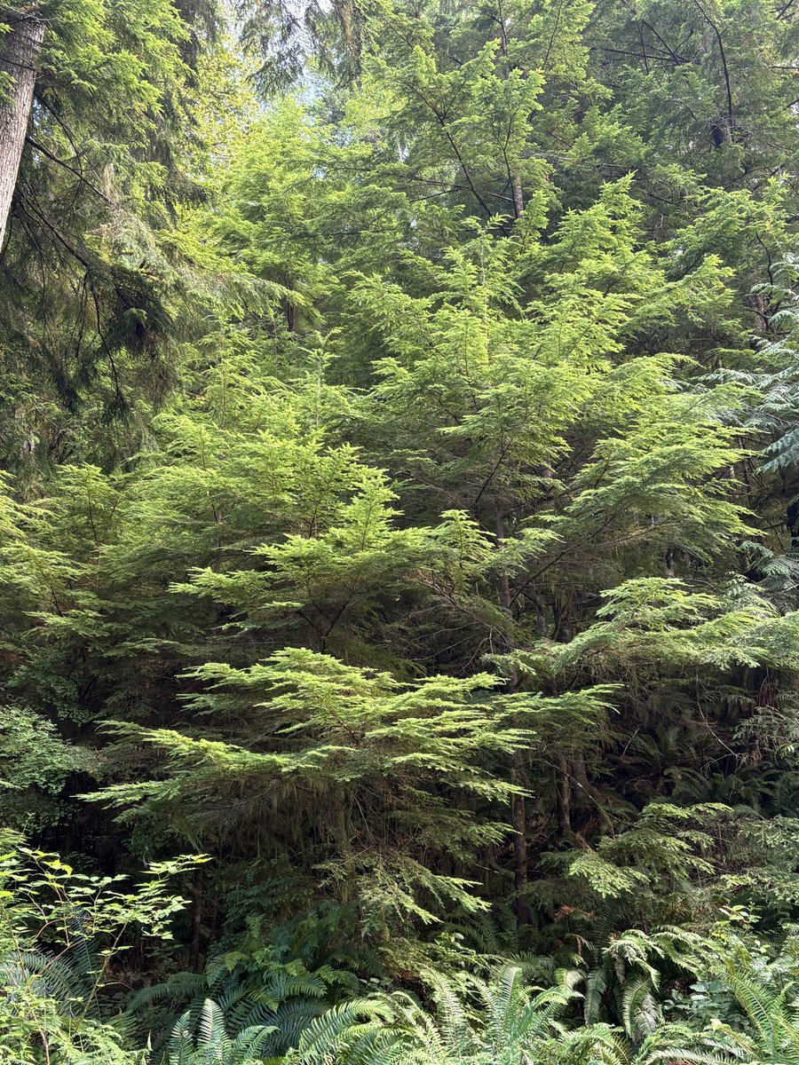 blodgrevinnen's tweet photo. I LOVE NATURE https://t.co/Da7rIgKwS3