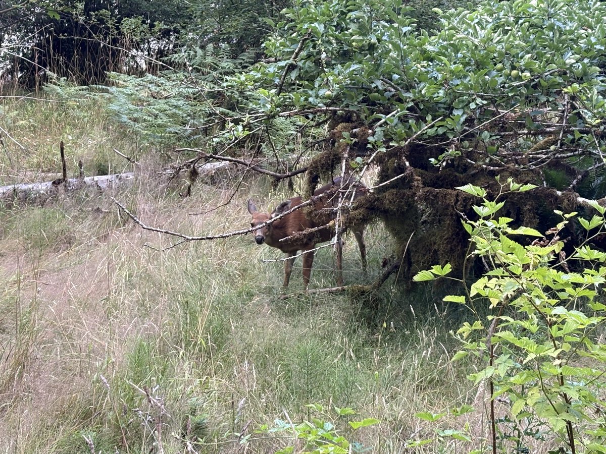 blodgrevinnen's tweet photo. I LOVE NATURE https://t.co/Da7rIgKwS3