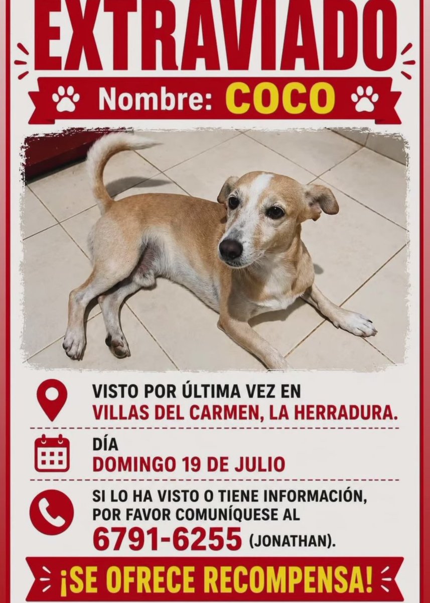 hildammansob's tweet photo. RT por favor!! https://t.co/fyIY0F0aDi