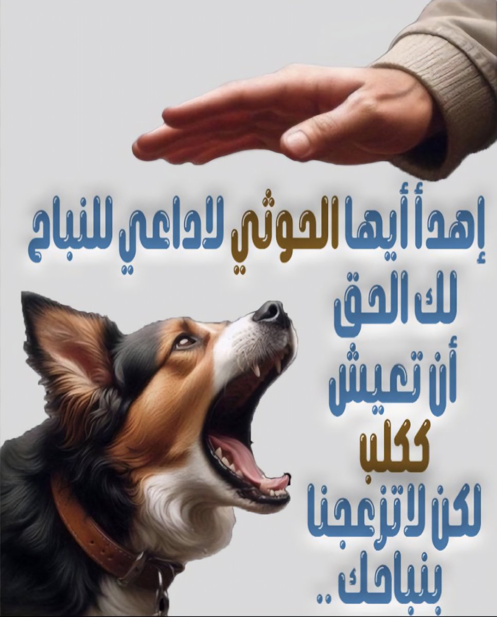ali__Alhelali's tweet photo. إهدأ أيها الحوثي لاداعي للنباح

لك الحق أن تعيش ككلب
لكن لا تزعجنا بنباحك ...
#جازان_الان https://t.co/IMD6DZQRtn