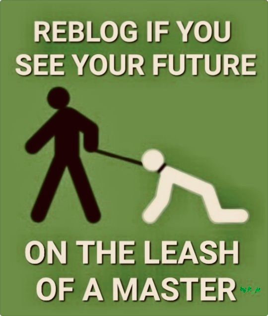 BootMasterMark1's tweet photo. https://t.co/b77IRRdr2K