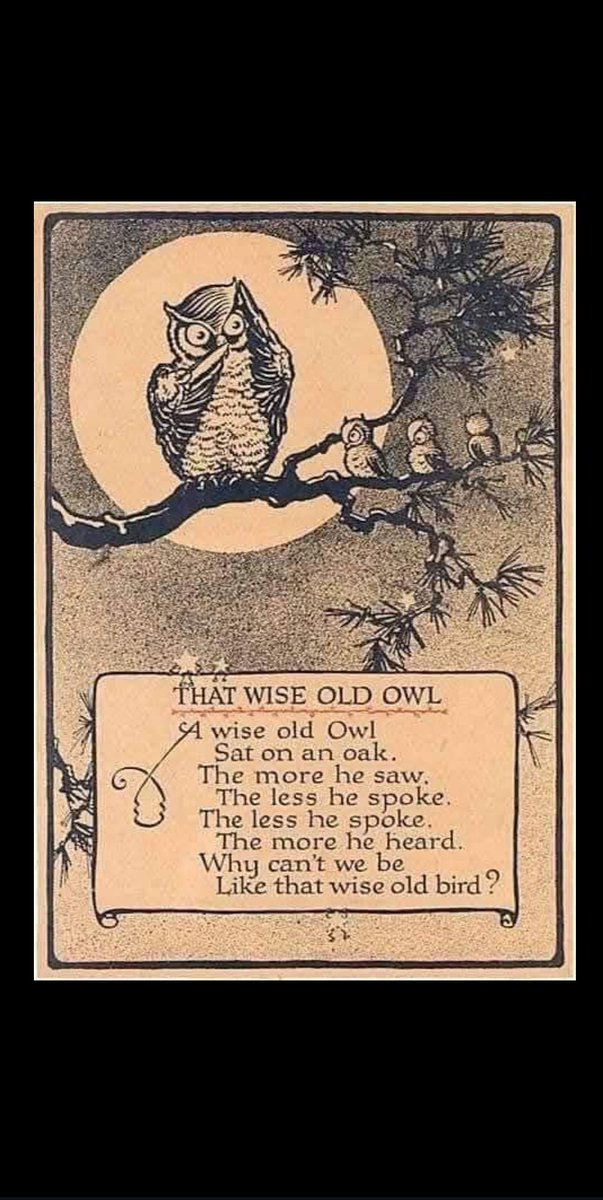 Owl-X tweet media