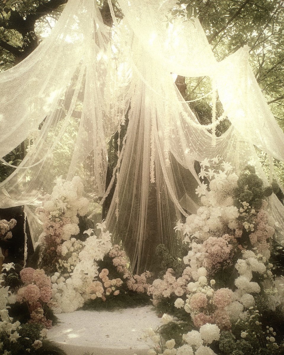 VOIDESIR tweet picture