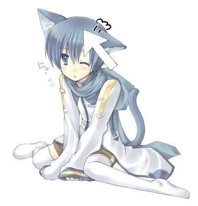 neru_nu's tweet photo. Todos amamos a los catboys #catboysupremacy https://t.co/s5H55bm85D
