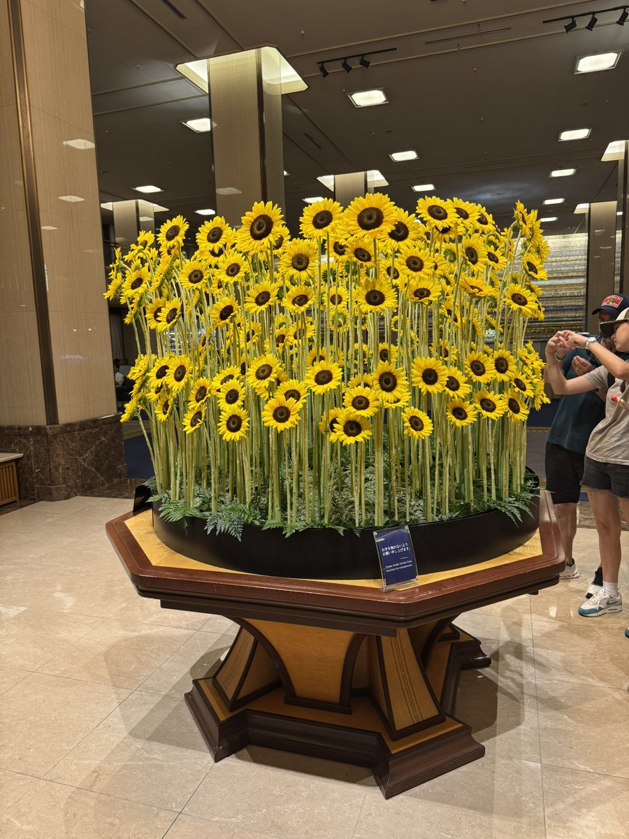 Mikeys_Hall's tweet photo. 今日から2泊、帝国ホテルにお世話になります🌞 https://t.co/ZFVpPBTAJG