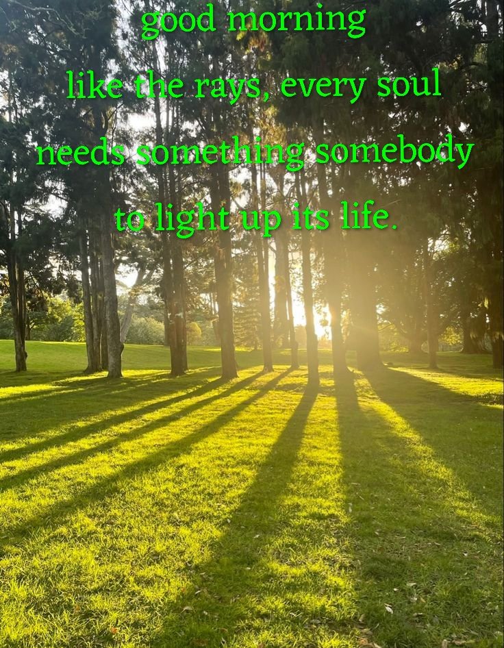 nammam's tweet photo. Have a wonderful weekend https://t.co/HDIzlZFsZ7