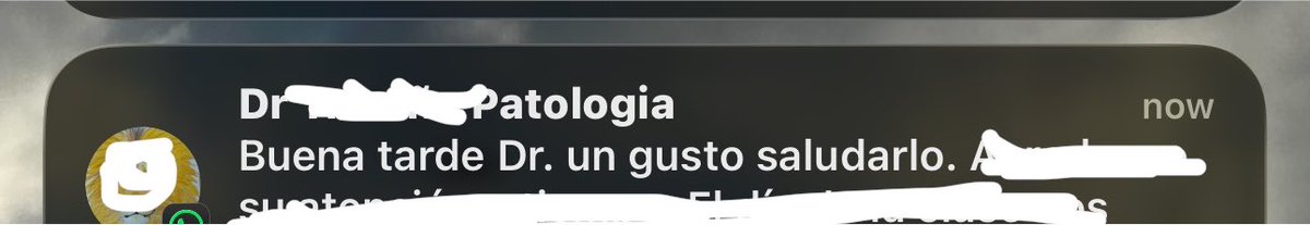 urambienslide's tweet photo. “doctor” 😭 mi emoción de medicoblasto es enorme https://t.co/YuWm6h1omp