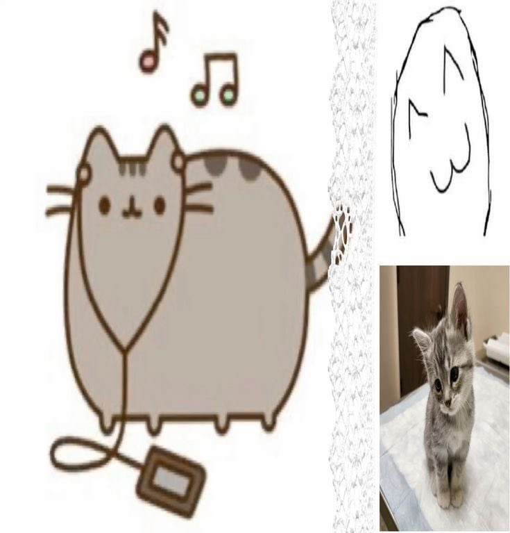 ݁₊ ⊹ Val ᵎ!ᵎ. tweet media