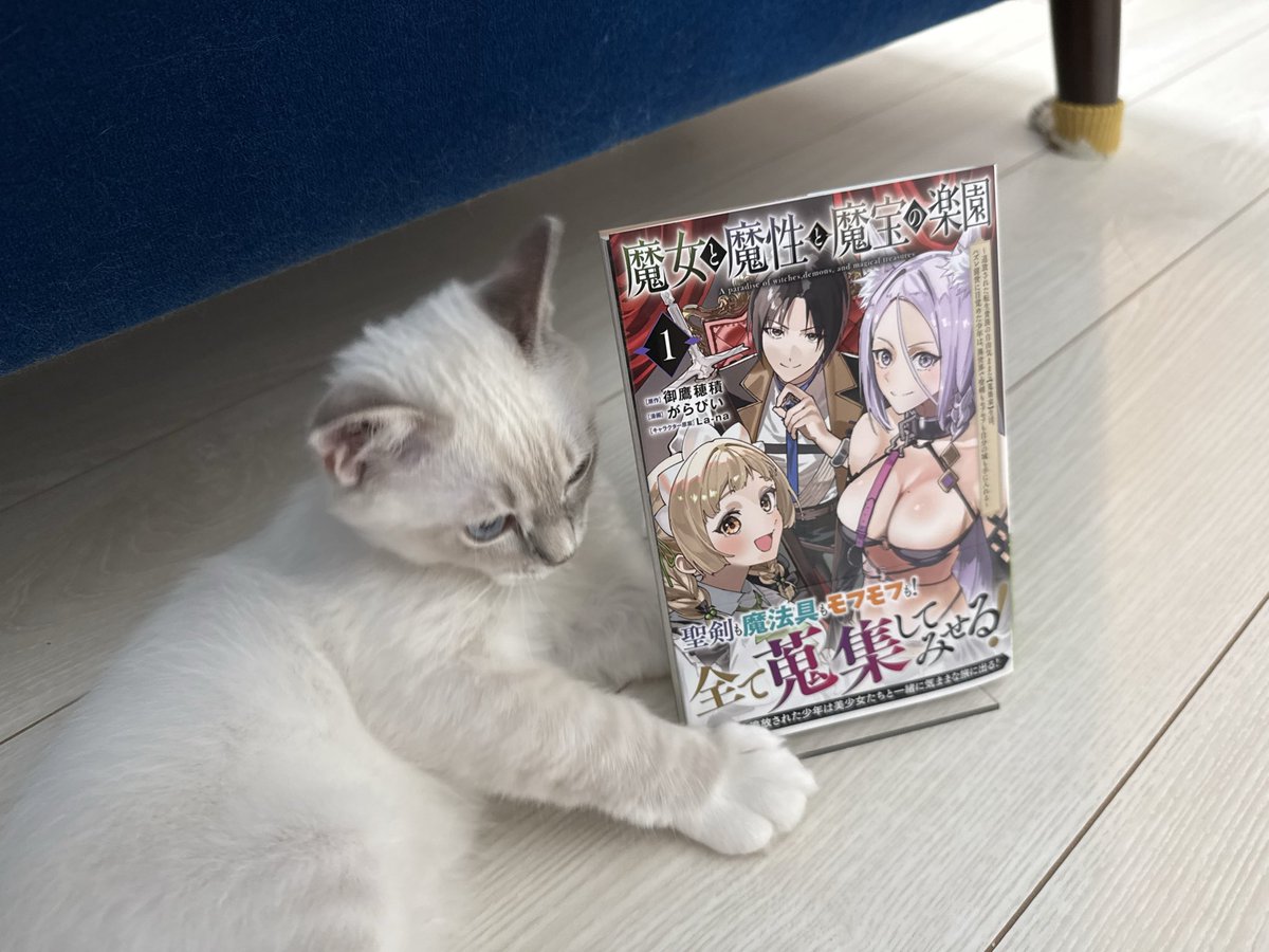 hozumimitaka's tweet photo. 『魔女と魔性と魔宝の楽園』
コミックス1巻
発売中です！！！！

蒐集家に目覚めた主人公が
ファンタジー世界で珍しい存在と巡り会うお話です！

何卒よろしくお願いします！ https://t.co/AoRbZH3V4m