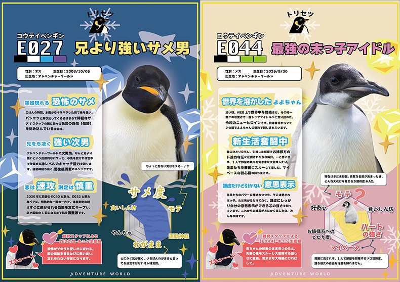 aws_official's tweet photo. ／
コウテイペンギン名前募集🐧
締め切りまで【あと1週間】！
＼

この週末に、19羽の個性やエピソードが詰まった「トリセツ」をじっくり読んでみませんか？👀✨

19羽それぞれの魅力に触れると、ぴったりの名前がひらめくかも…！
土日のリラックスタイムにぜひご応募ください♪

▽ご応募・トリセツはこちらから！
https://t.co/vWVM32075I