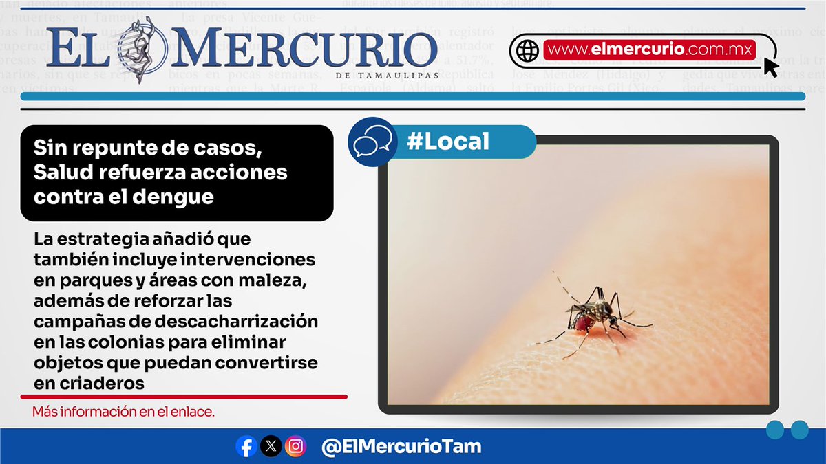 elmercuriotam's tweet photo. #Ciudad 👉https://t.co/LOw76j5SUA

#Tamaulipas  #dengue #COEPRIS #SectorSalud https://t.co/X4eQtXQGju