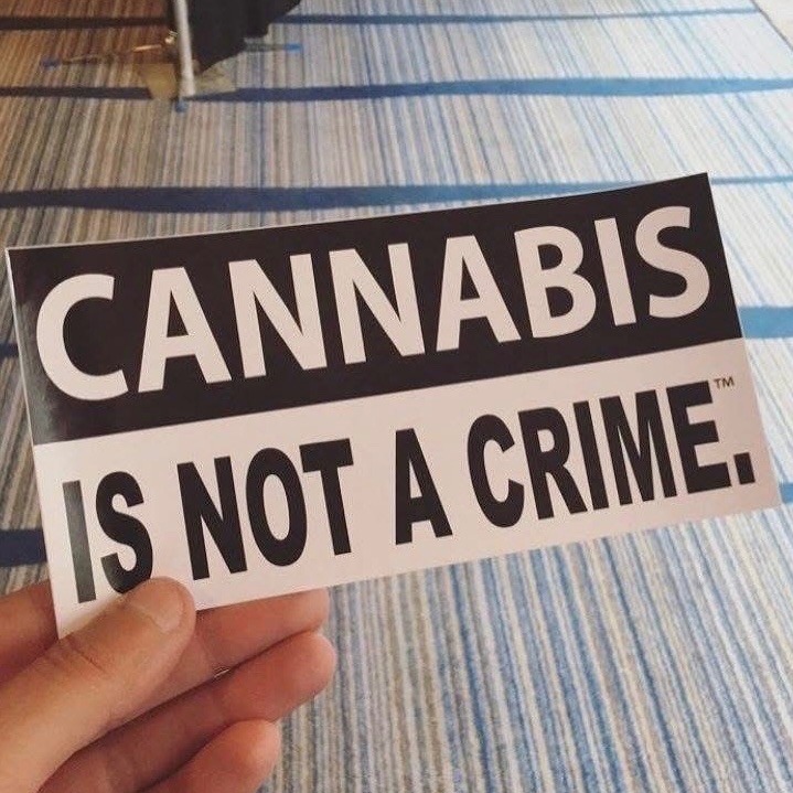 STONERS R US 🍃 tweet media