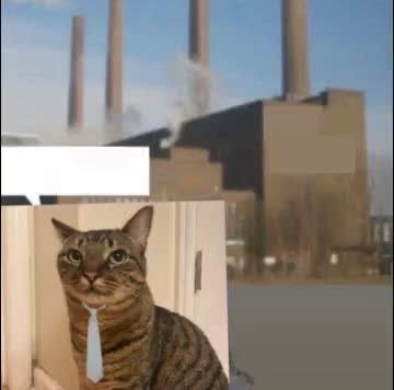 just_a_purrito's tweet photo. @anndreatorres Espero que no haya golpes // Fabrica de golpes https://t.co/gUvc3jyKqr