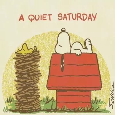 snoopyandfrien6's tweet photo. A QUIET SATURDAY https://t.co/UBYGkhNEUS