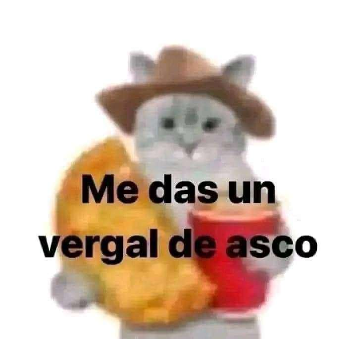 wraxui's tweet photo. Felicidades jugadores de Zenless Zone Zero (no todos claro está), definitivamente la comunidad está cooked a más no poder, pero ustedes sigan pidiendo regalos en exceso y 200 tiradas por aniversario, lo están haciendo muy bien 🗣️🔥

Ya hablando enserio, son unos pesados loco, dejen de tanto exigir cuando ya de por si regalan bastante, maduren for once.