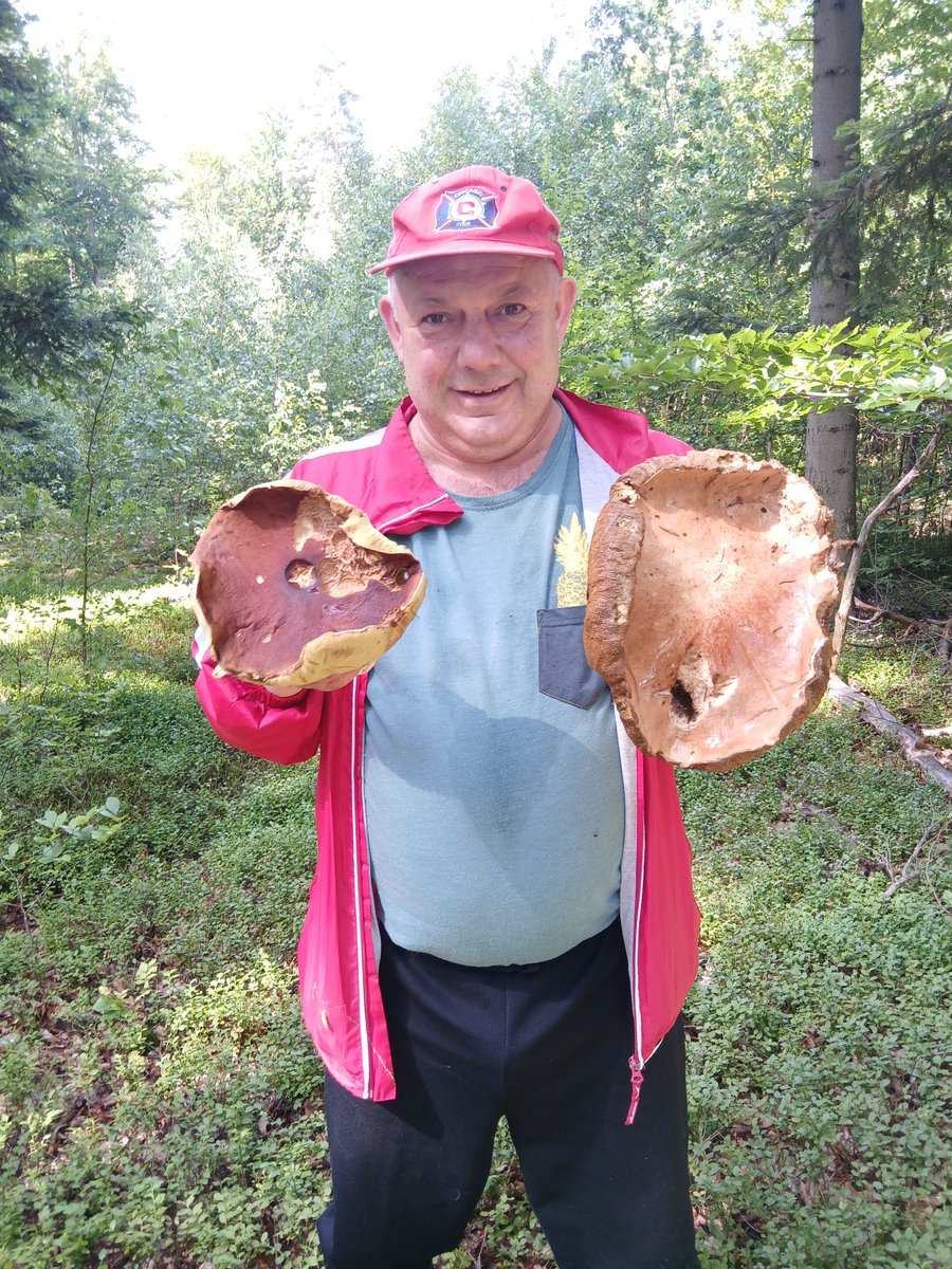 Wojciech Kowalczyk tweet media