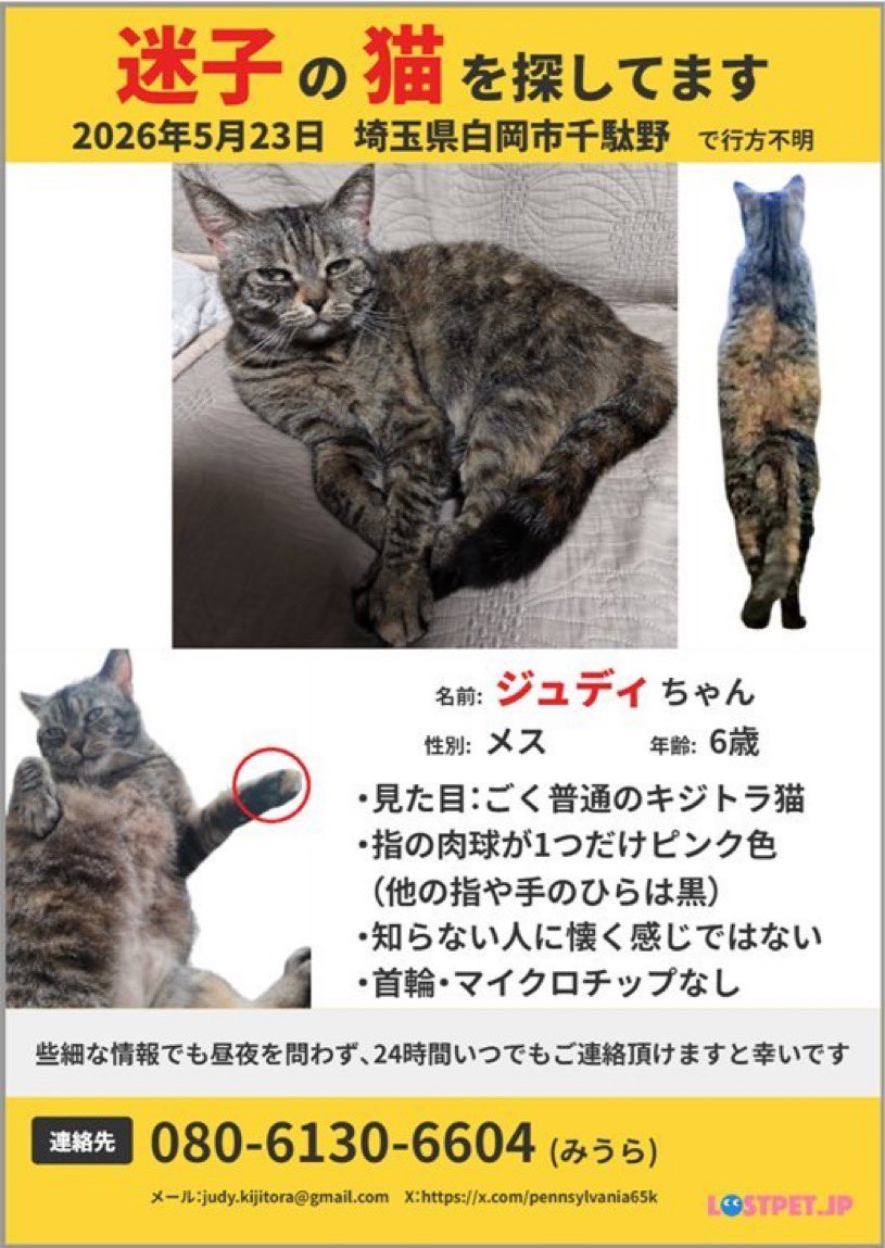 FX_Mankichi's tweet photo. https://t.co/OzHGXW9T9j