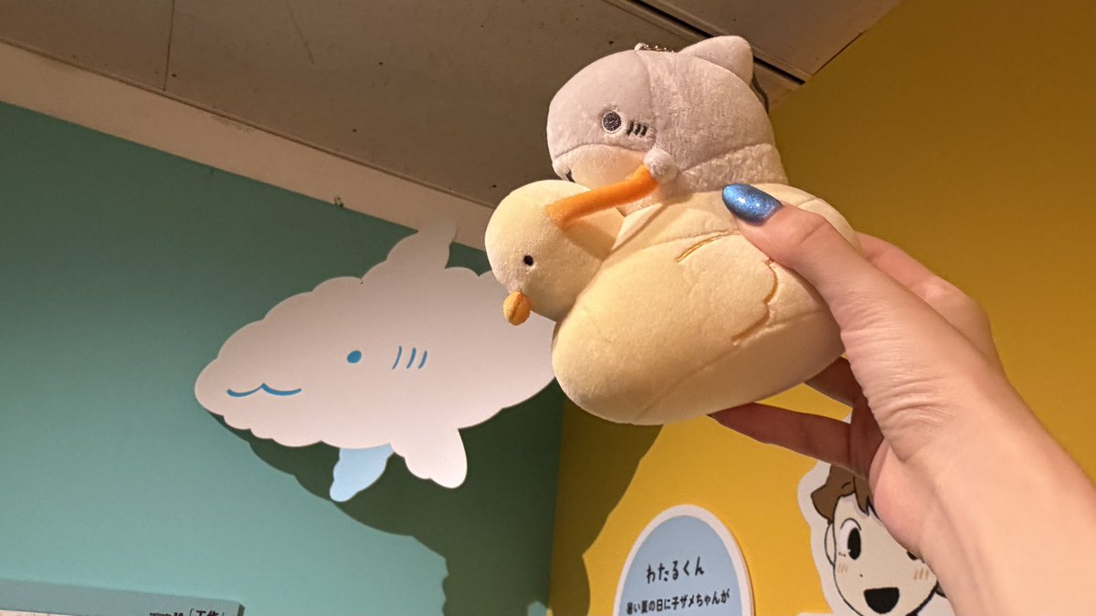 skybluesl's tweet photo. 2度目の子ザメ展行ってきました！🥰🥰
今日も今日とて可愛かった🫶
#おでかけ子ザメ展 https://t.co/vMV7UFQ3xi