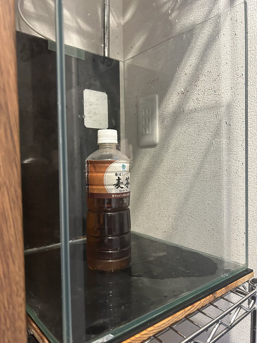 Hirocam002's tweet photo. 海水水槽あきらめました。玄関が塩塩になる。淡水熱帯魚水槽に変更します。 https://t.co/45DpI1kTFe