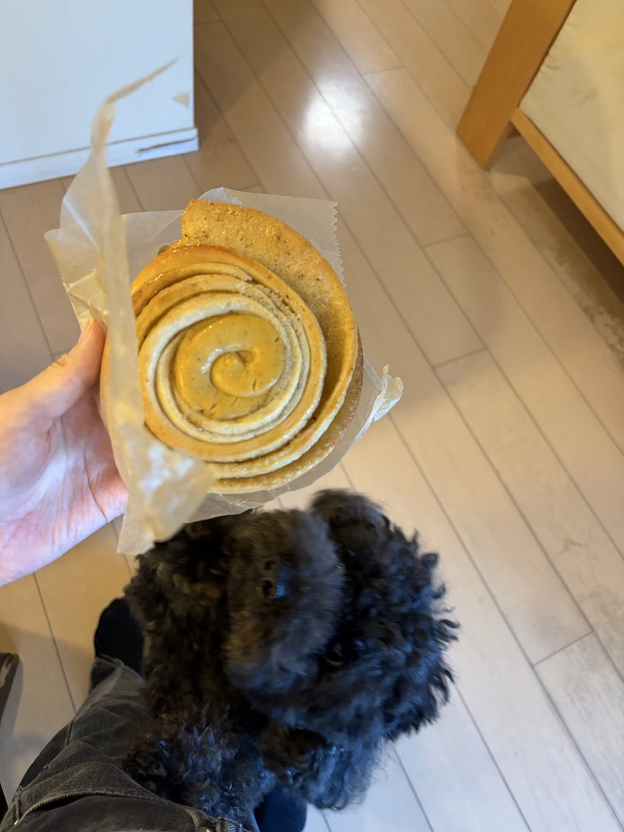 chocolateparty4's tweet photo. 夏休み前のnaminamiさんで大量購入
我が家の愛犬も家族譲りで、美味しいものには目が無いようで、、🫶 https://t.co/trVh8OhqsU
