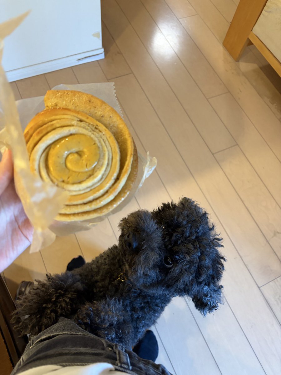 chocolateparty4's tweet photo. 夏休み前のnaminamiさんで大量購入
我が家の愛犬も家族譲りで、美味しいものには目が無いようで、、🫶 https://t.co/trVh8OhqsU