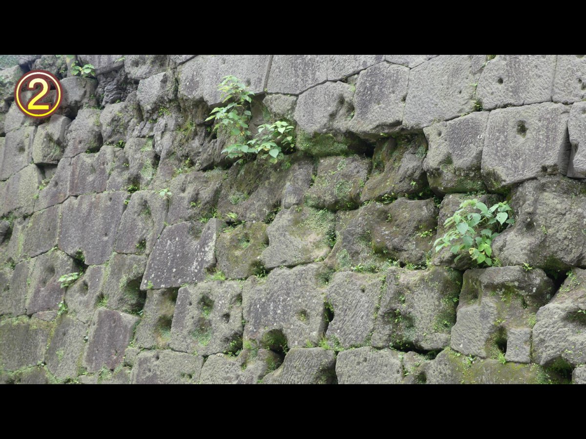 rv0923's tweet photo. 関ヶ原の戦いで敗れた島津氏が徳川家康の薩摩征伐に備えて築城した鹿児島城（鶴丸城）
①大手門にあたる復元された御楼門
②その奥の石垣に多く残る銃弾跡
③本丸と二ノ丸 境目の石垣（高い方が本丸）
④当初は水堀があった敷地内の本丸と二ノ丸の境 https://t.co/y4Z6sWdA8C