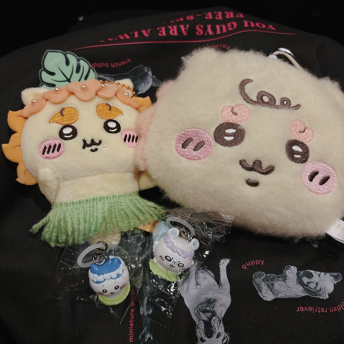 shisa__0824's tweet photo. 昨日は映画2回観てきました〜

#映画ちいかわ https://t.co/FIU3AppOKH
