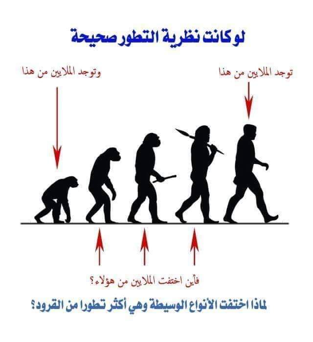aboeltaib19's tweet photo. @observer_2012 طيب يا صحاب العقل
أشرح لى وين دول غابوا https://t.co/17DFGhdr7k