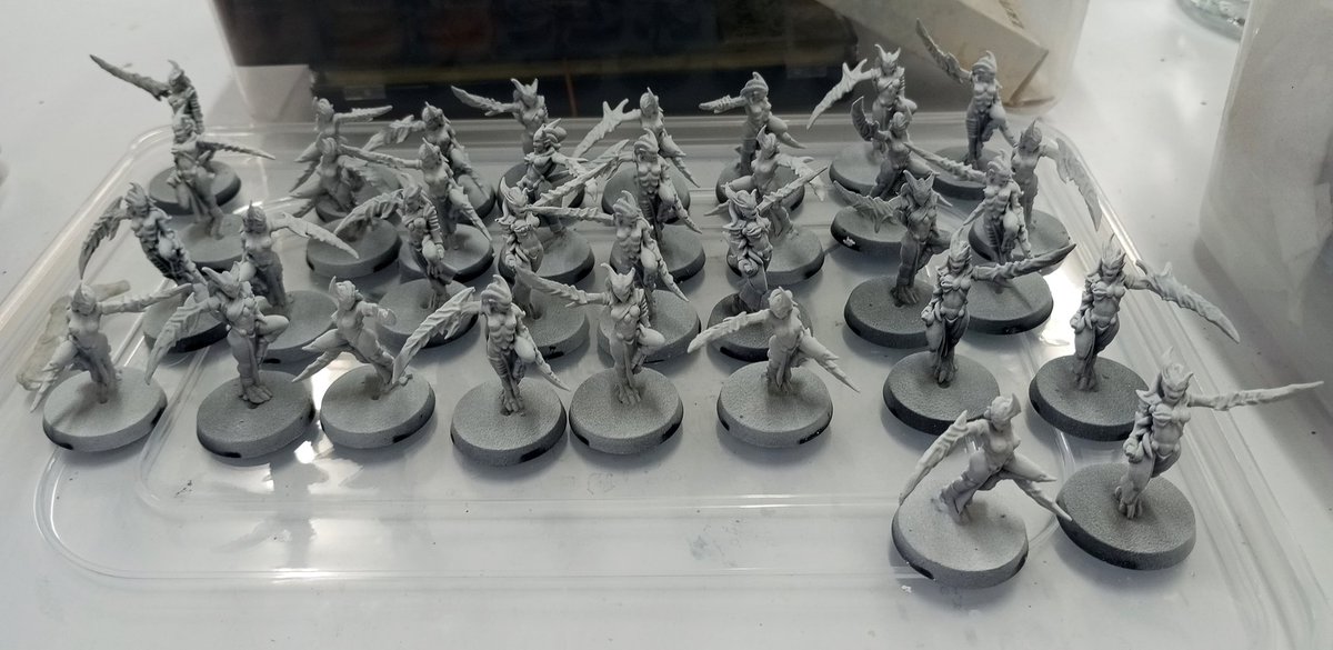WillChu10's tweet photo. Printing and cleanup done ^^

Now gonna wait the primer to cured before start batch painting for these slaaneshi themed ruinstorm lesser daemons ^^

#Daemonettes
#Horusheresy
#Ruinstorm
#Warhammer30k https://t.co/xOuDqfWA2Z