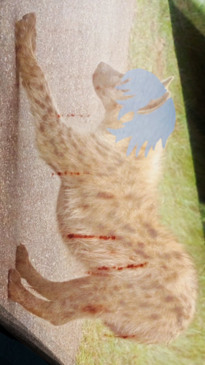 peathapeep's tweet photo. That hyena has the same hair as me!!

!!!!!this is an art piece meant to show how mental heath affects people!!!!! https://t.co/BmC8nAJe75