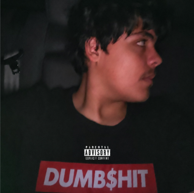 BuddybuddyOP's tweet photo. DUMB$HIT - DELUXE https://t.co/OuRQUJBZrj